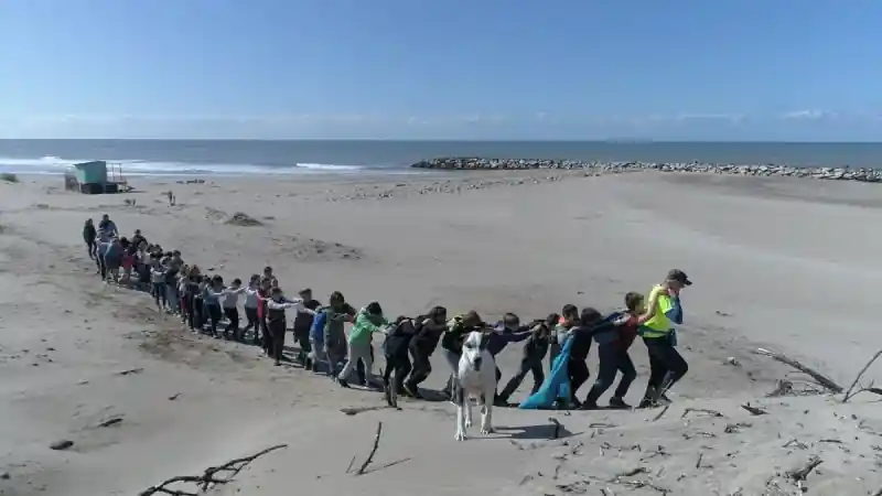 Actividad en la Laguna