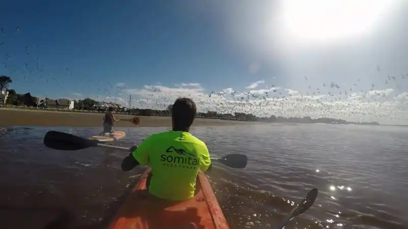 Actividad en la Laguna - Imagen 6